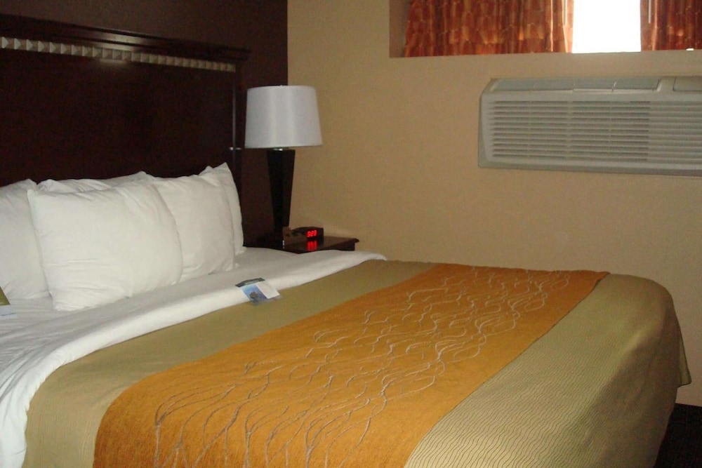 Room, 1 Queen Bed, Non Smoking photo 1
