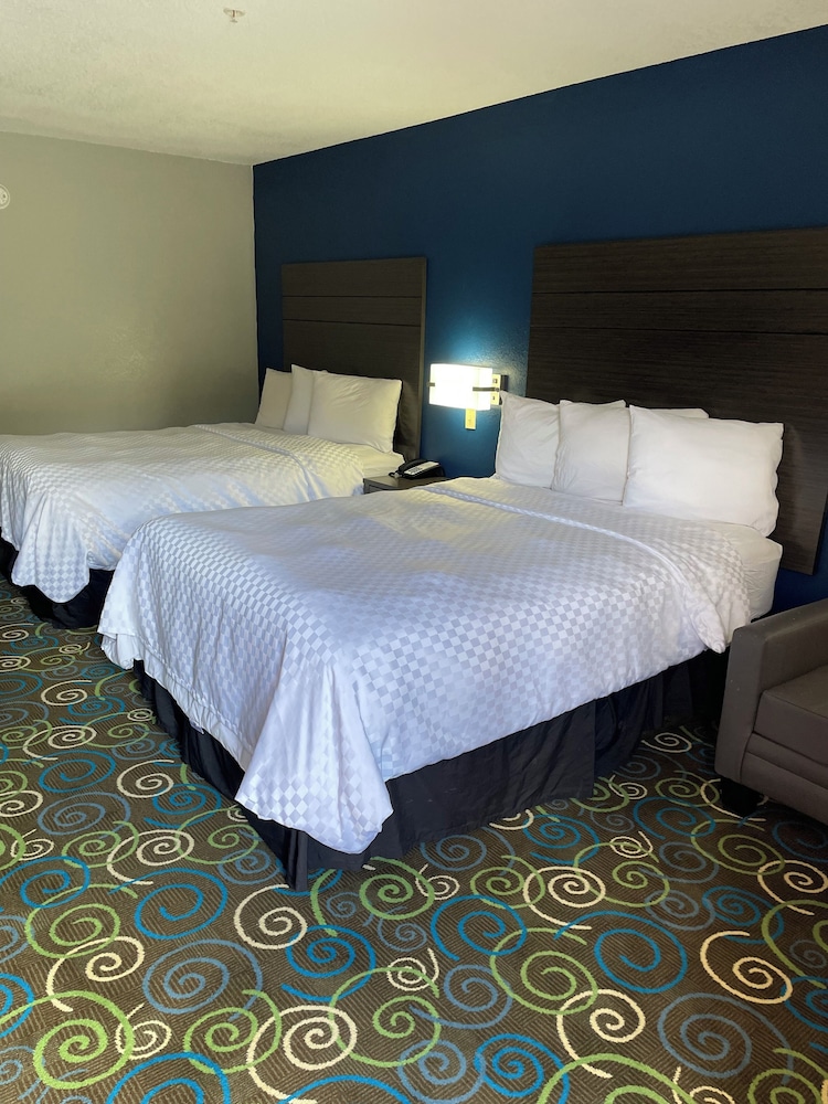 Classic Suite, Multiple Beds photo 1