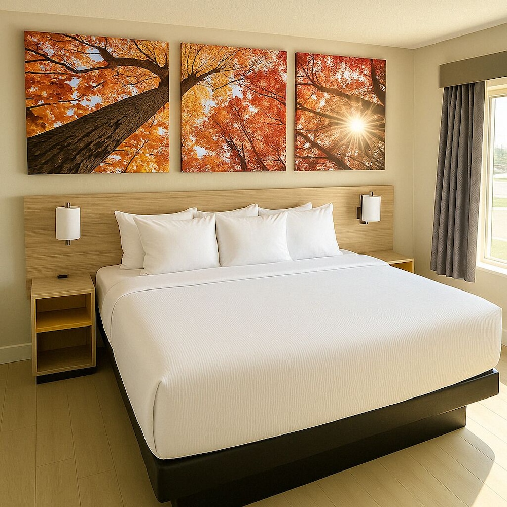 Room, 1 King Bed, Mobility Accessible, Non Smoking (Bathtub w/ Grab Bars) - Photo 3