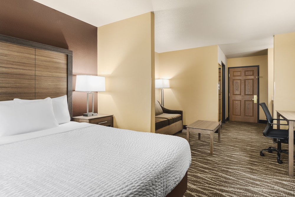 Suite, 1 Queen Bed photo 1