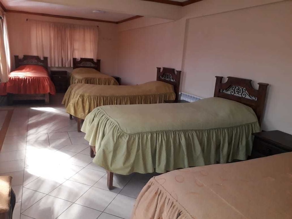 Basic Shared Dormitory, Mixed Dorm photo 1