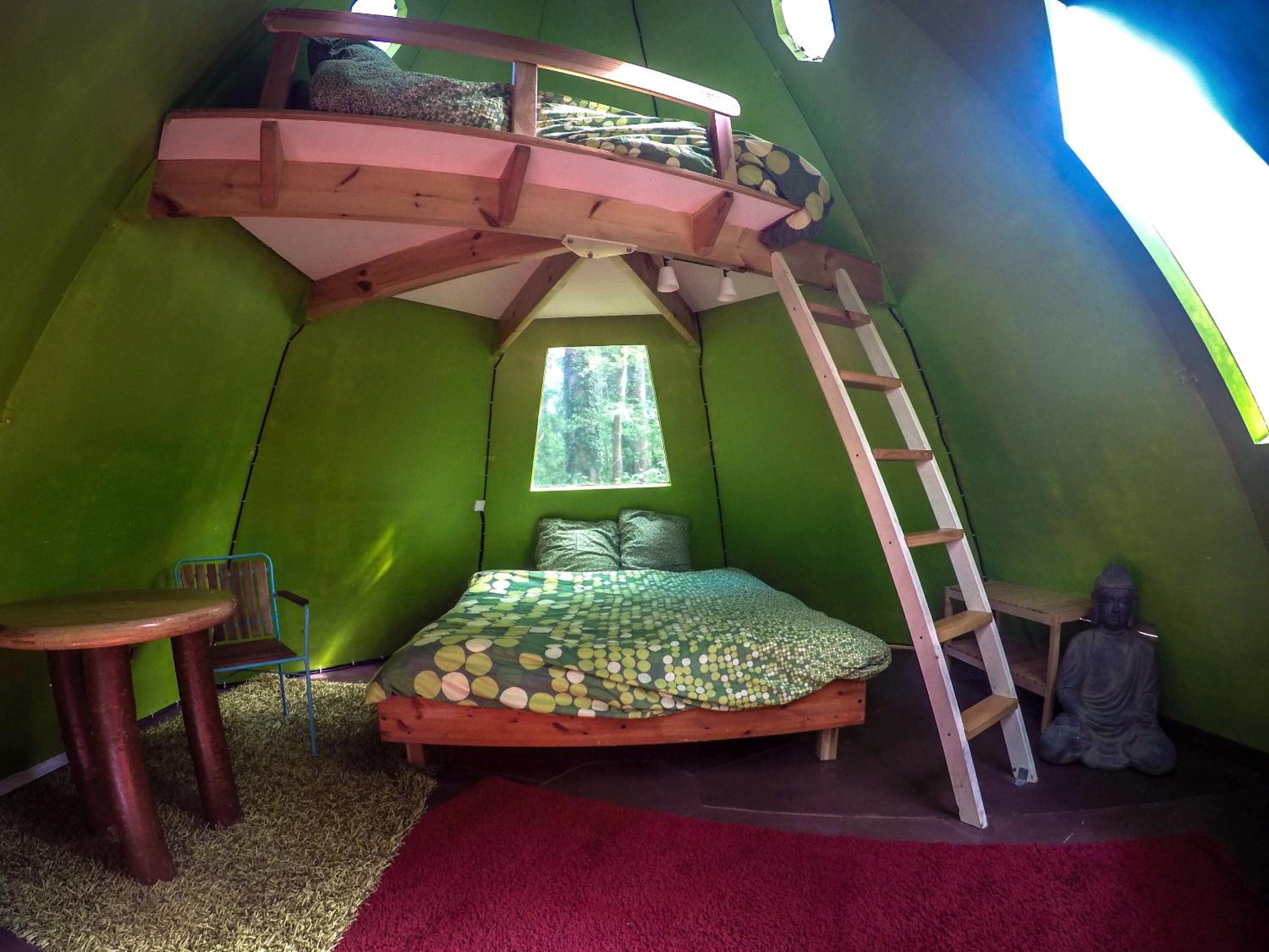 Quadruple Room - L'Ours Brun photo 1