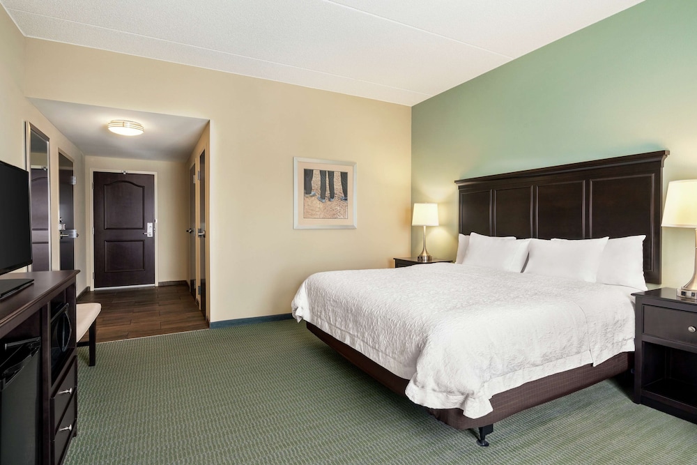 Room, 1 King Bed, Accessible, Non Smoking (With Tub) photo 2