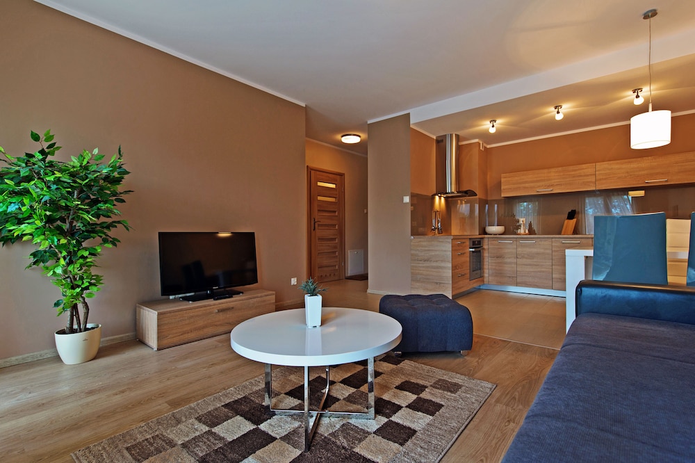 Apartment, Mountain View (102)