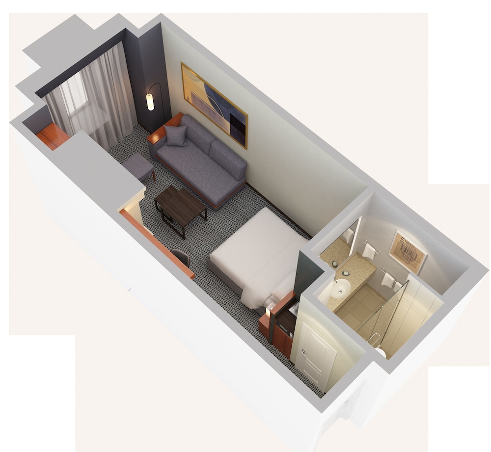 Studio, 1 King Bed with Sofa bed, Fireplace