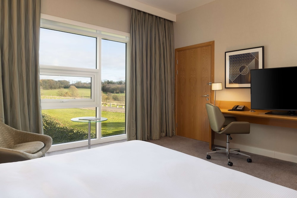 King Accessible Deluxe Room - Photo 6