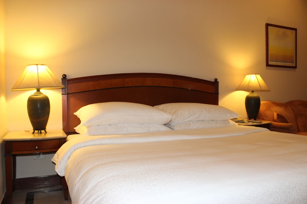 Suite - Photo 1