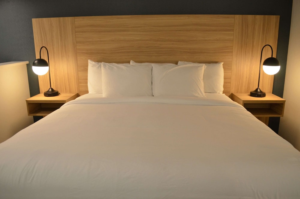 Suite, 1 King Bed, Non Smoking (Efficiency) - Photo 1