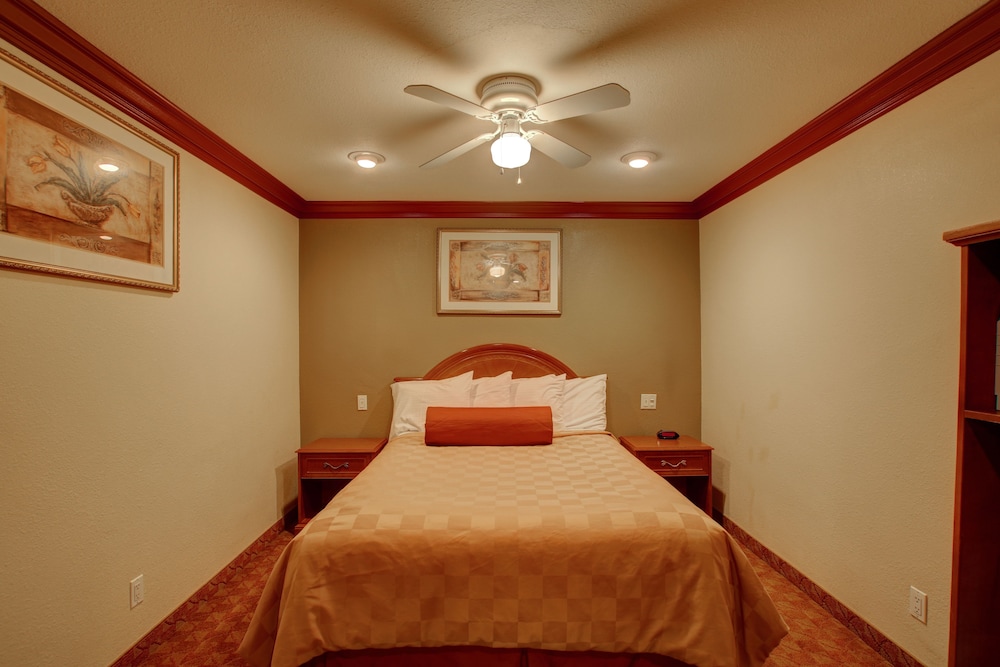 Suite, 1 Bedroom photo 2