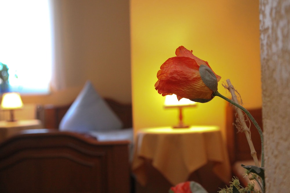 Standard Single Room photo 2