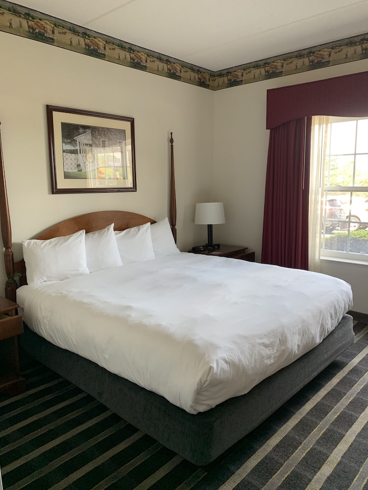 Suite, 1 Bedroom, Non Smoking photo 3