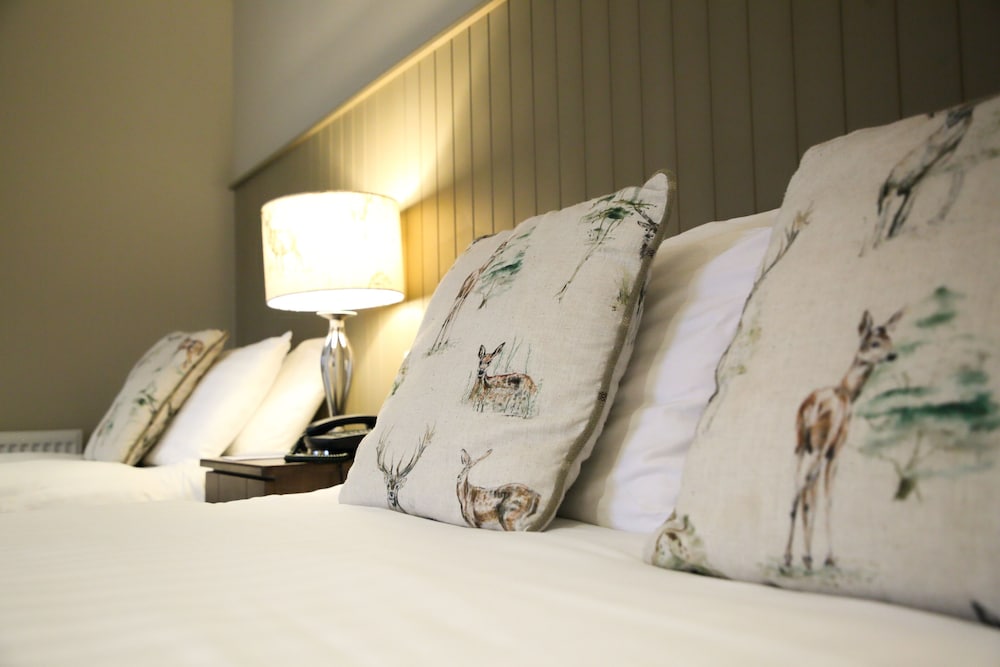 Double or Twin Room - Photo 6