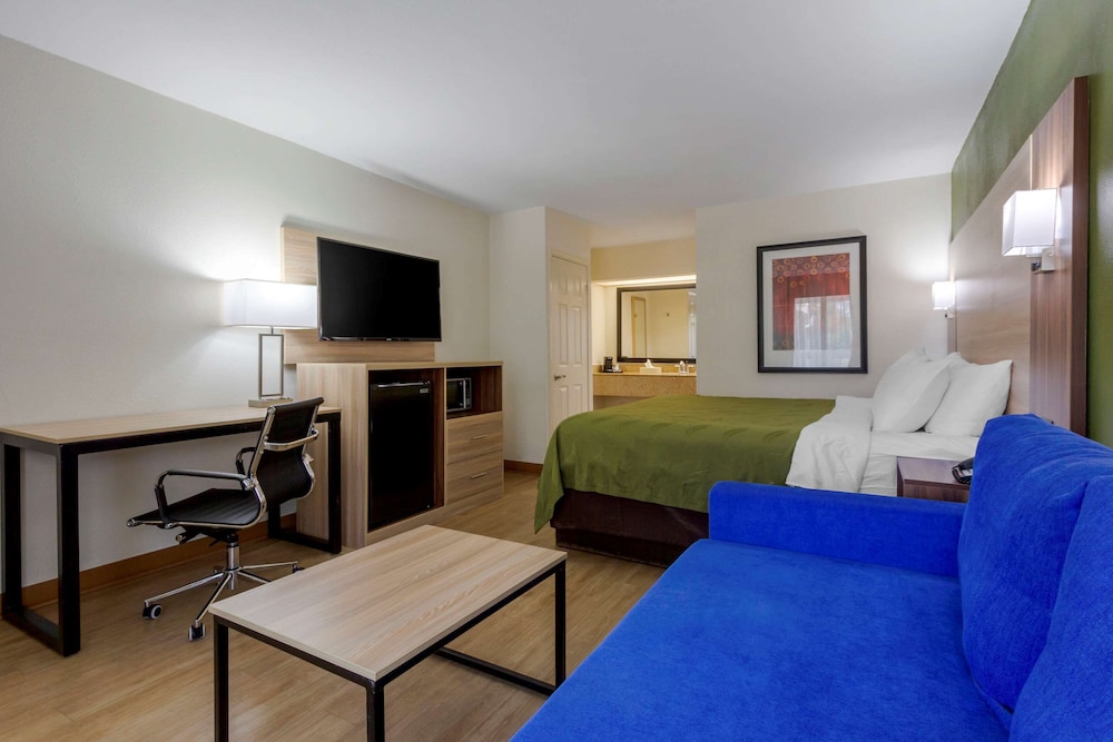 Room, 1 King Bed, Accessible, Non Smoking photo 2