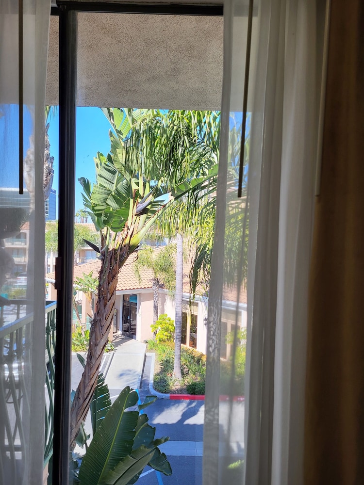 Executive Suite, 1 Bedroom - Photo 7