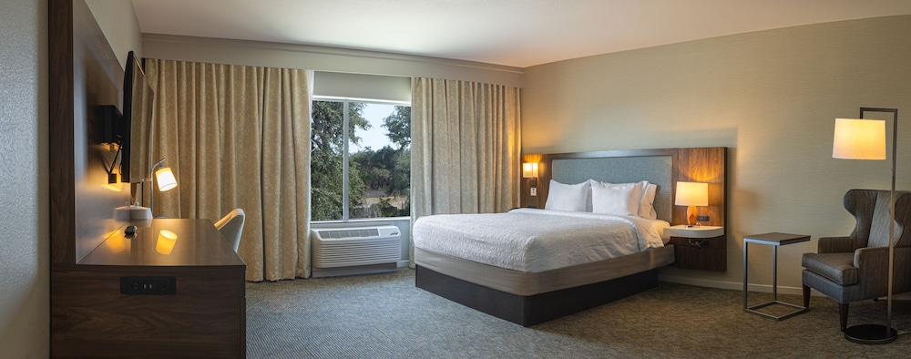 Suite, 1 King Bed with Sofa bed photo 3