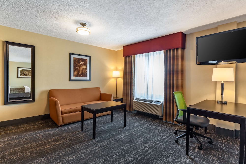 Suite, 1 King Bed, Non Smoking, Microwave (with Sofabed) - Photo 1
