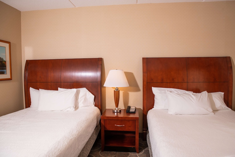 Two queens evolution junior suite photo 1