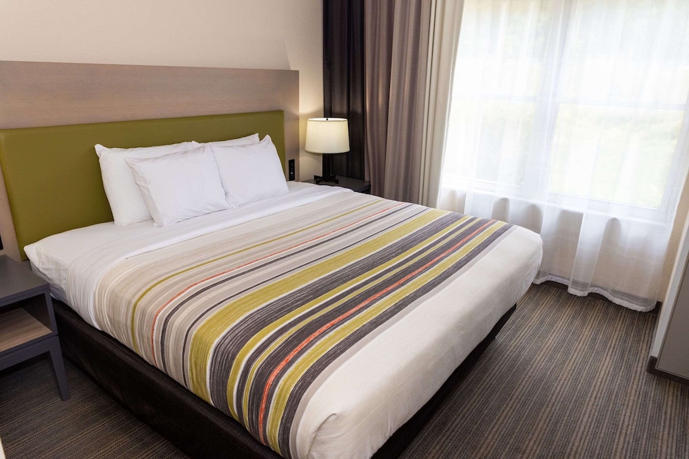 Suite, 1 Bedroom, Non Smoking photo 3
