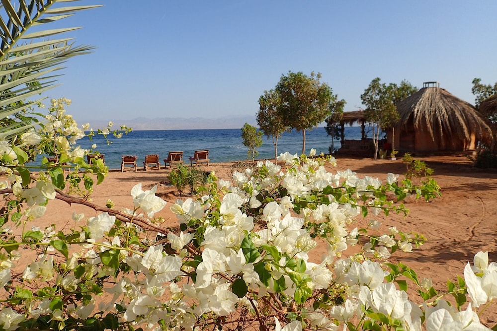 Standard Bungalow, Sea View, Sea Facing (Single) photo 3