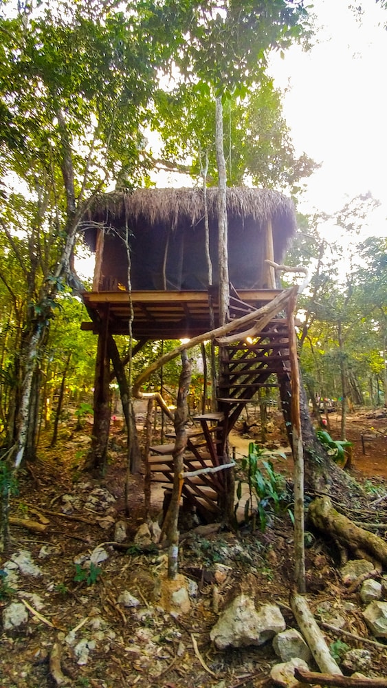 Tree House, 2 Double Beds (Zacjabin) photo 2