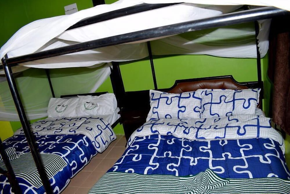 Standard Room, 2 Twin Beds, Balcony, Mountain View photo 3