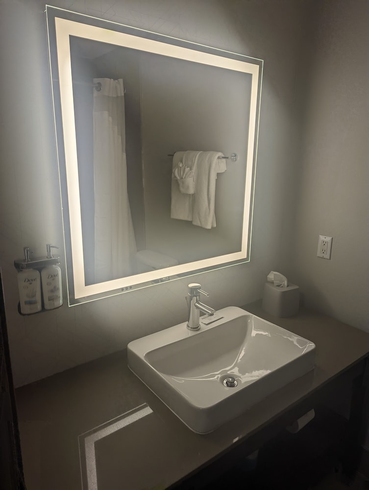 Suite, 1 Bedroom (Living Area) photo 3