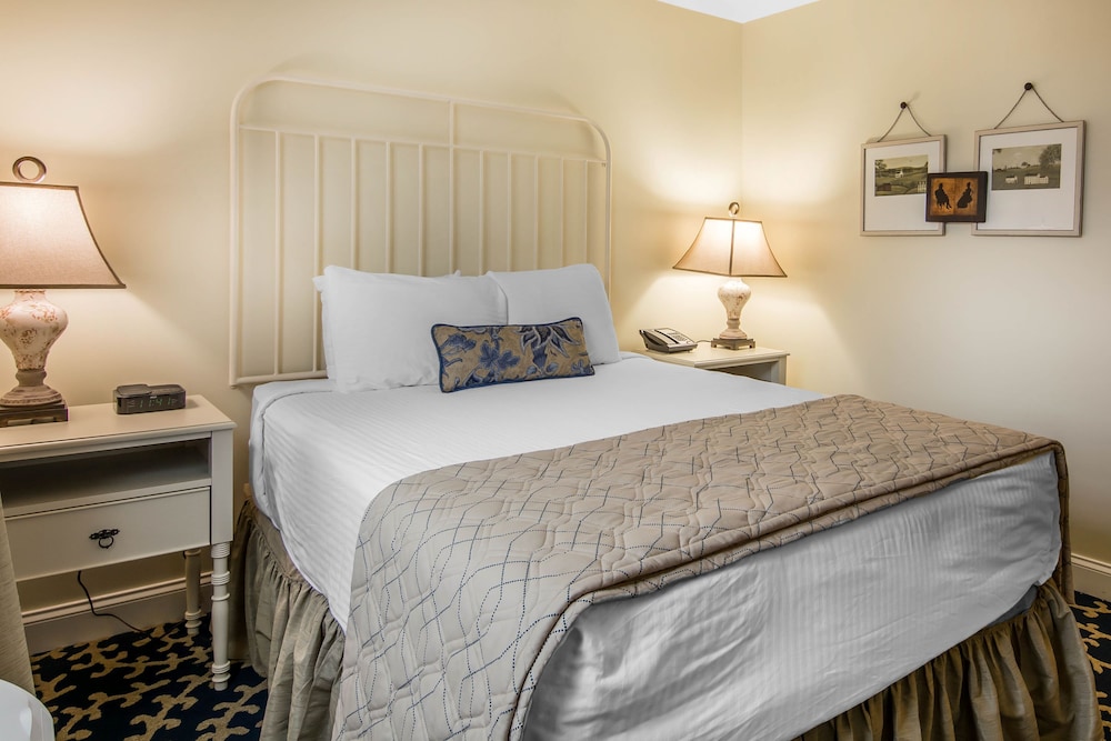 Room, 1 Queen Bed photo 3