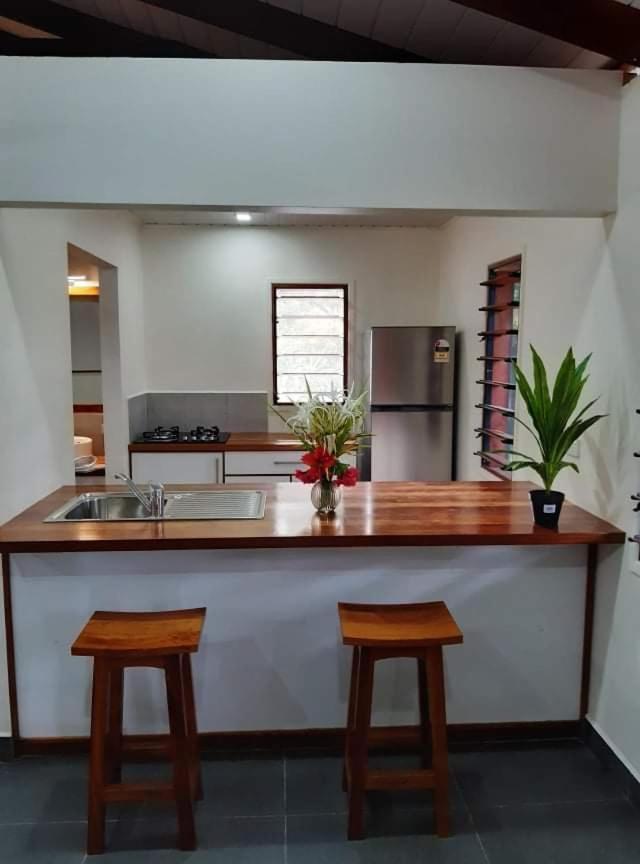 Deluxe Villa photo 3