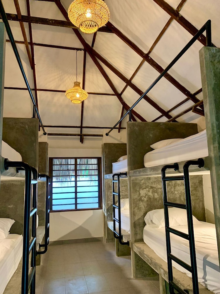 Basic Shared Dormitory photo 1