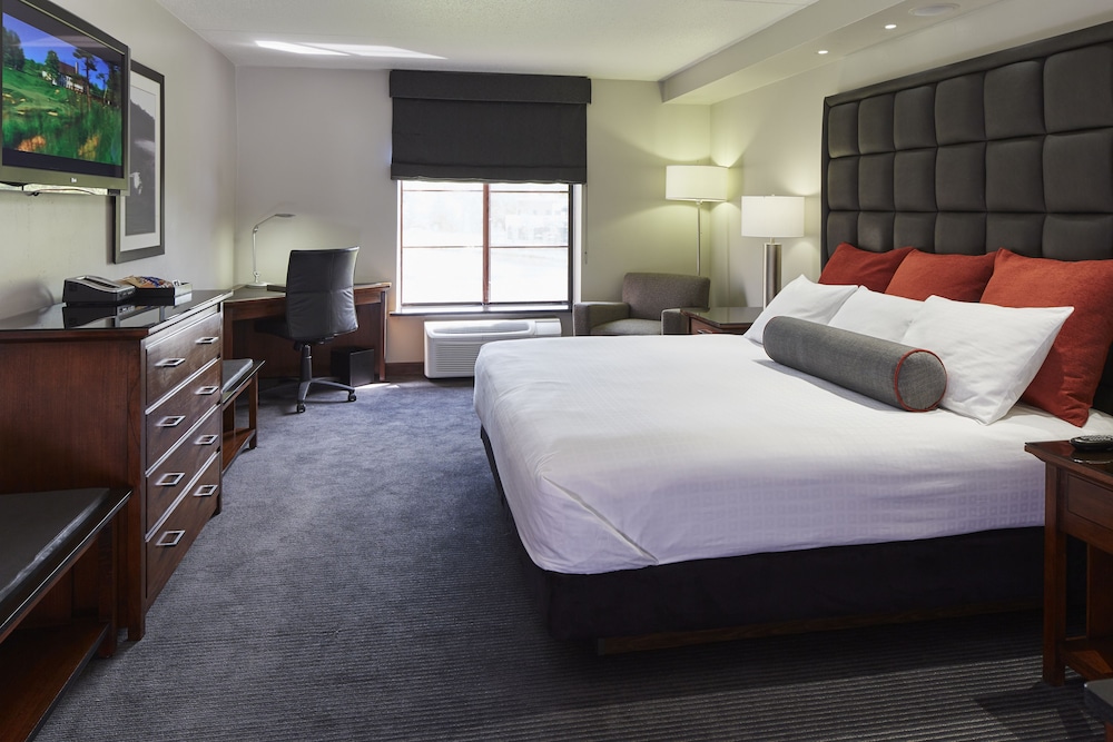 Room, 1 King Bed, Lakeside photo 2