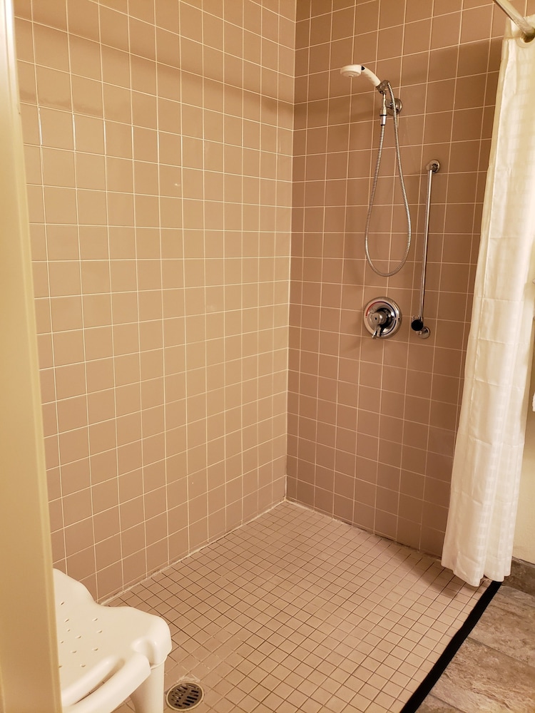 Room, 1 King Bed, Non Smoking (Accessible Roll in Shower) - Photo 6