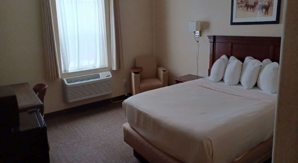 Standard Room, 1 Queen Bed, Non Smoking, Refrigerator & Microwave - Photo 1