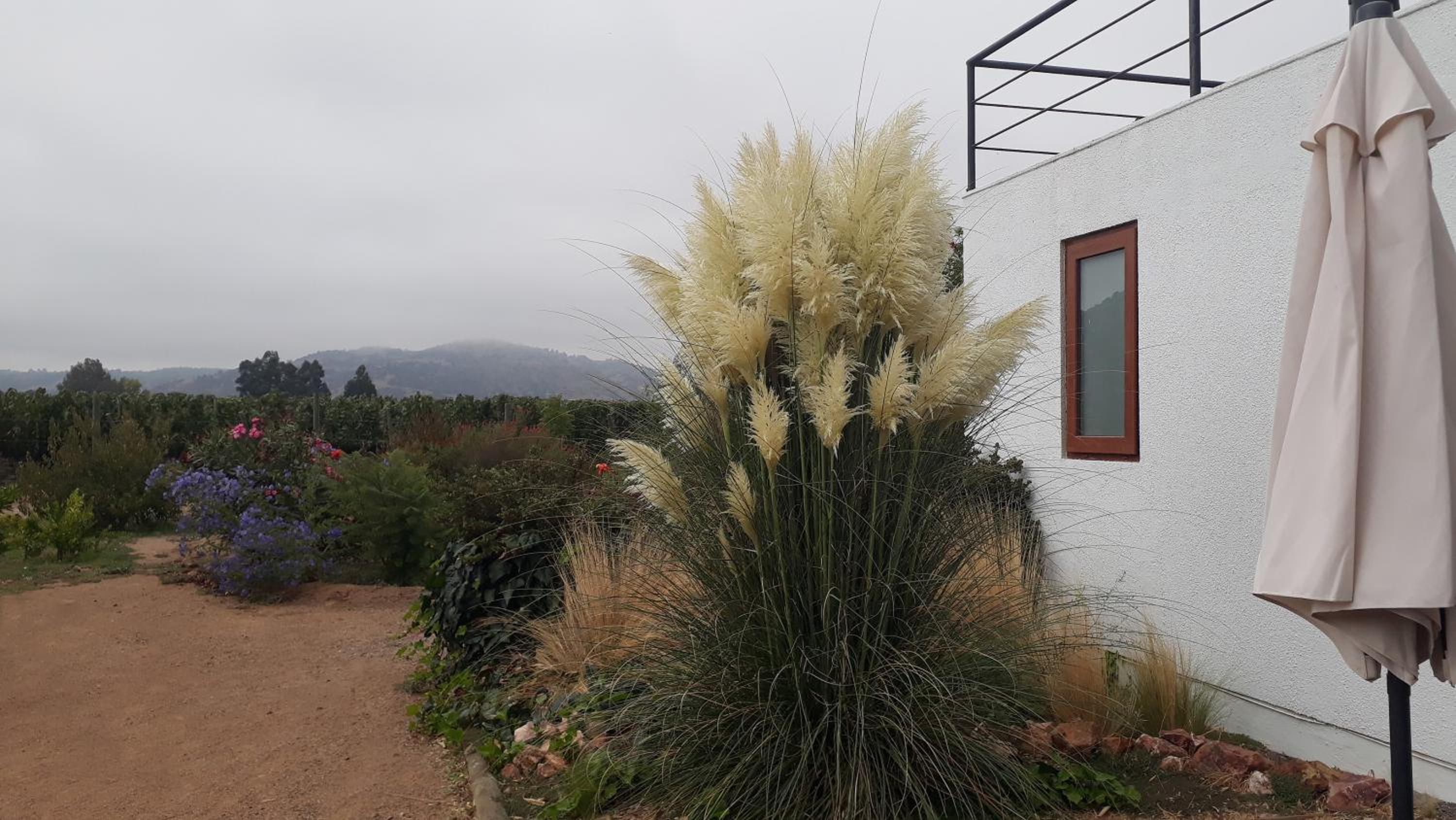 Double Room with Garden View photo 2