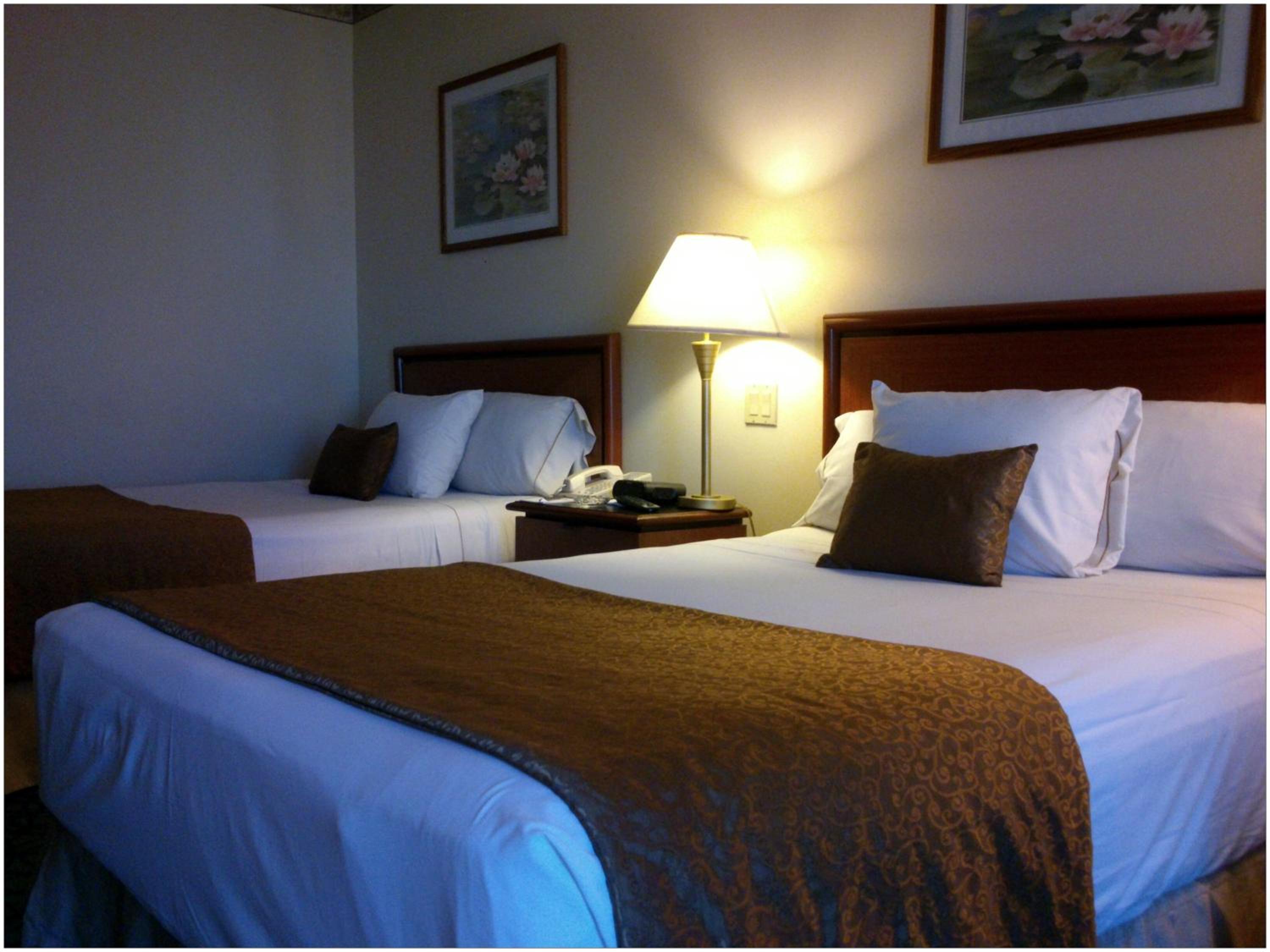Standard Double Room - Photo 1