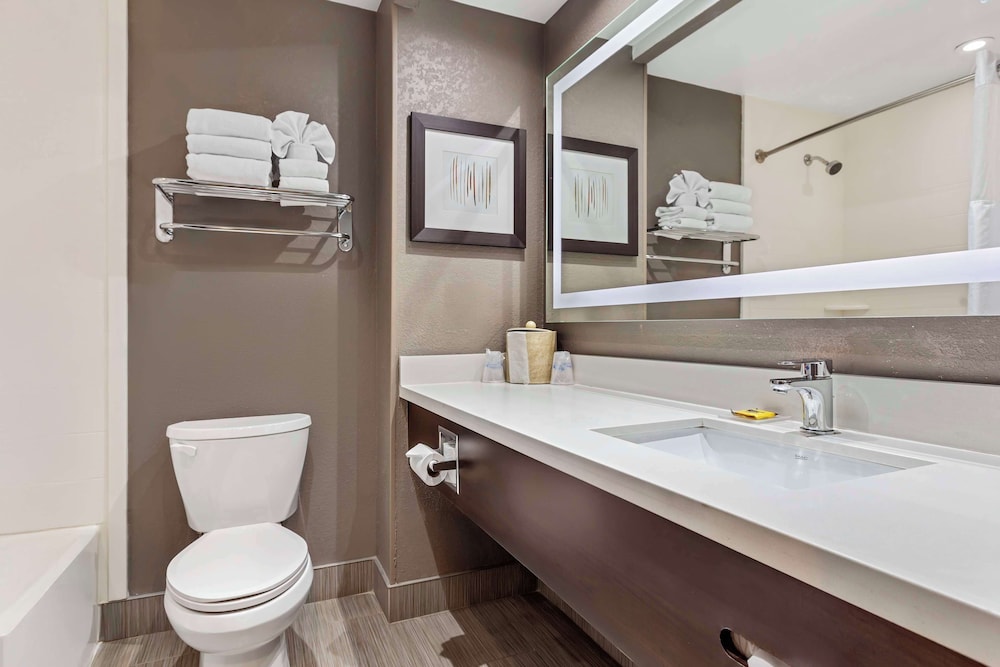 Executive Room, 1 King Bed, Non Smoking, Refrigerator & Microwave (Queen sofabed;Larger Room) - Photo 3