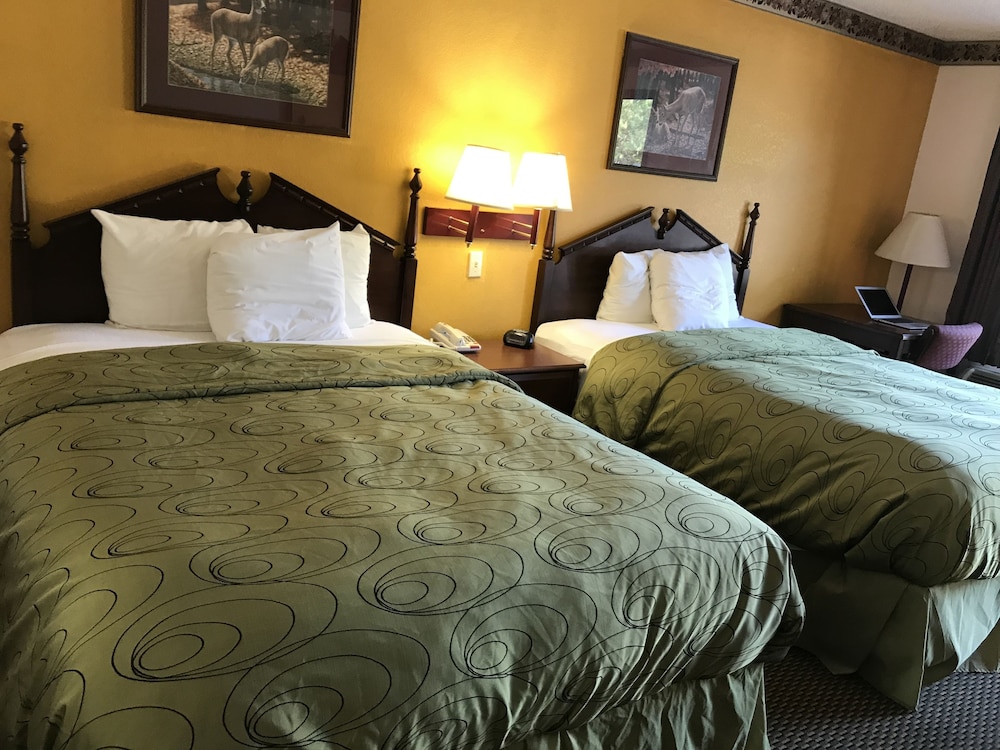 Standard Twin Room, 2 Twin Beds photo 3