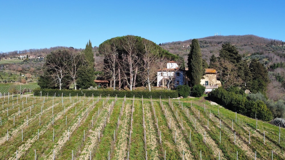I Cipressi photo 1
