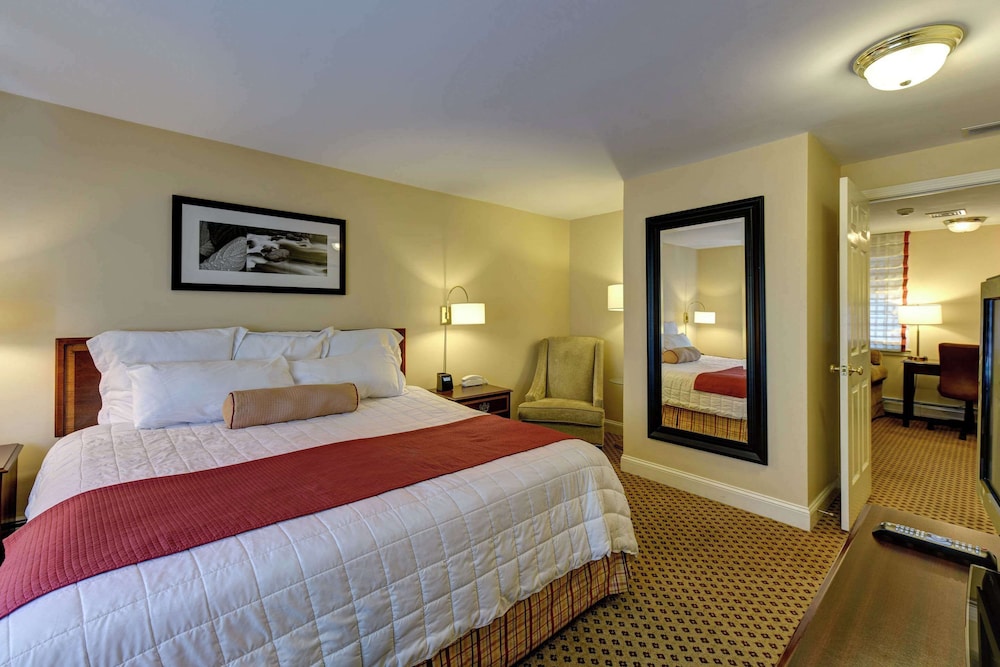Suite, 1 King Bed with Sofa bed, Non Smoking - Photo 4