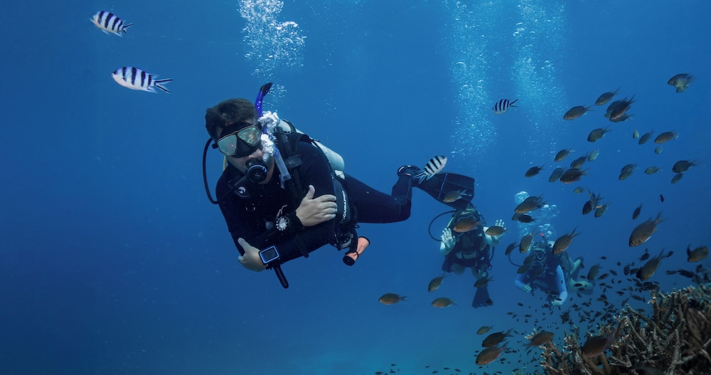 Grand Pool Access+PADI Discovery Scuba Diving