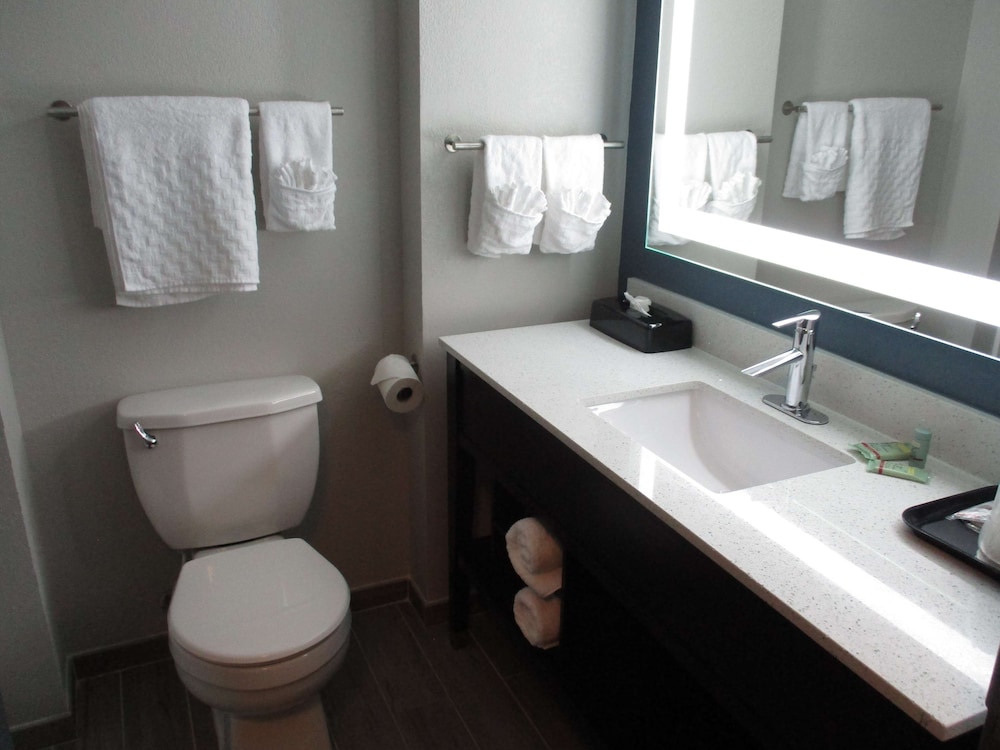 Suite, 1 King Bed, Non Smoking, Refrigerator & Microwave (with Single Sofabed) - Photo 5