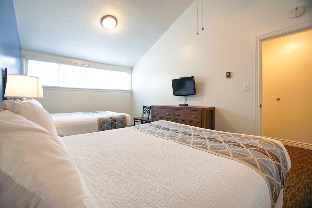Loft, 1 Bedroom photo 3