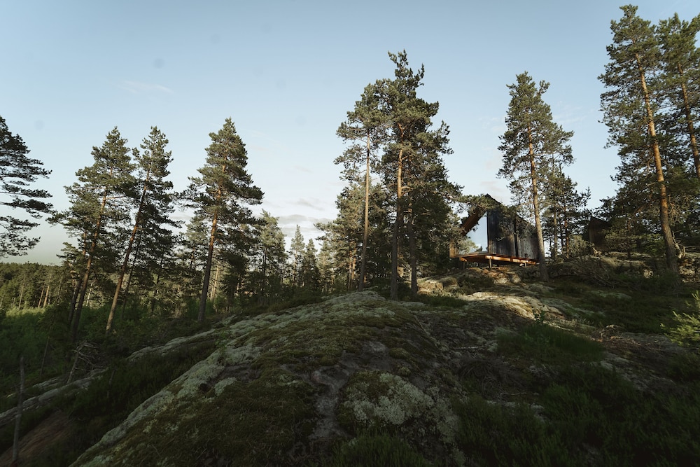Cabin, Hill View photo 2