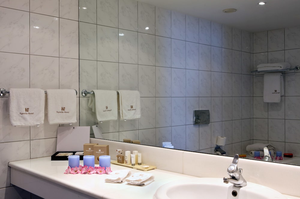 Double or Twin Room, Mountain View photo 3