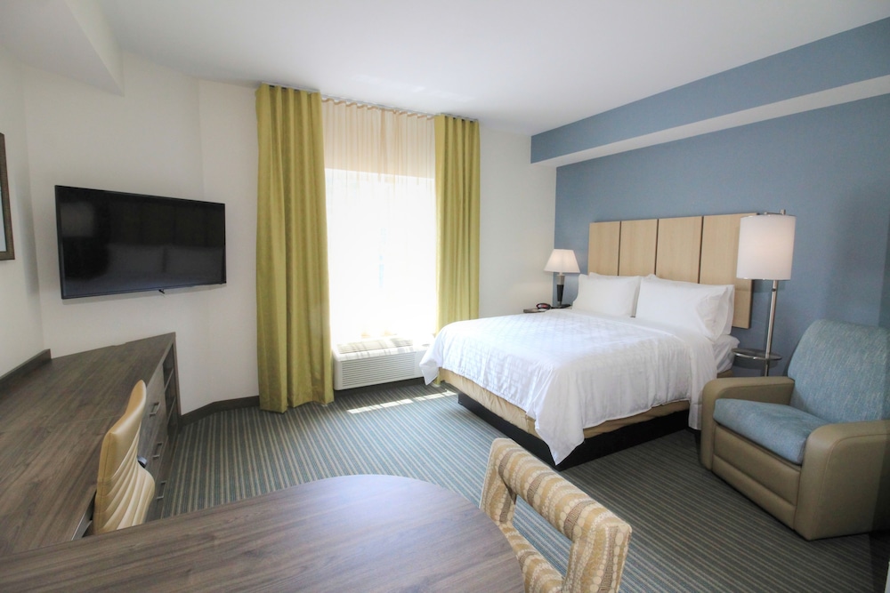 Suite, 1 Bedroom, Accessible (Communications) photo 3