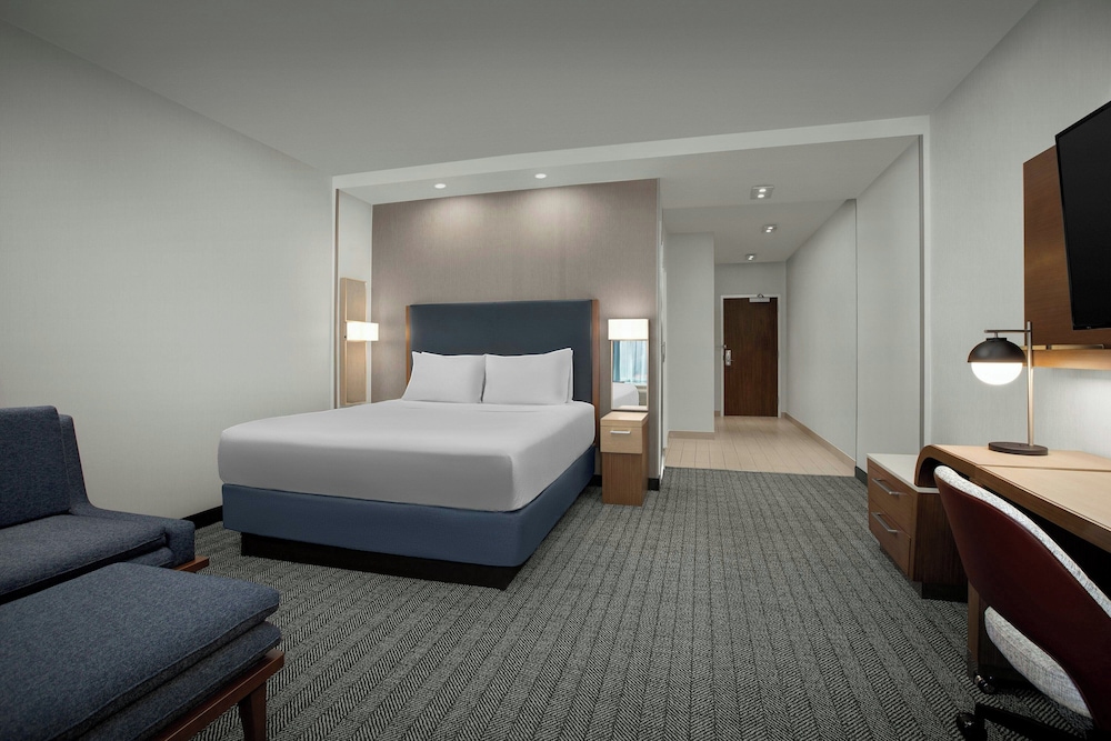 Room, 1 King Bed with Sofa bed (Hearing Accessible) photo 1
