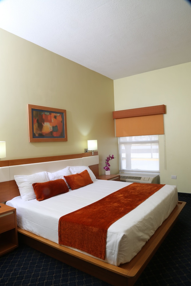 Business Single Room, 1 King Bed photo 3