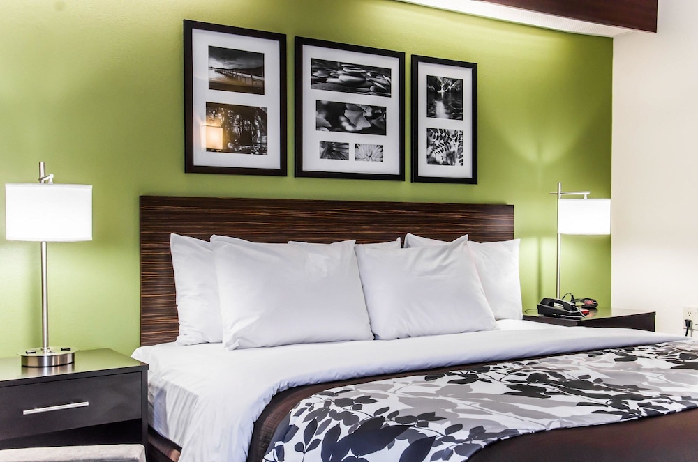 Standard Room, 1 King Bed, Non Smoking - Photo 7