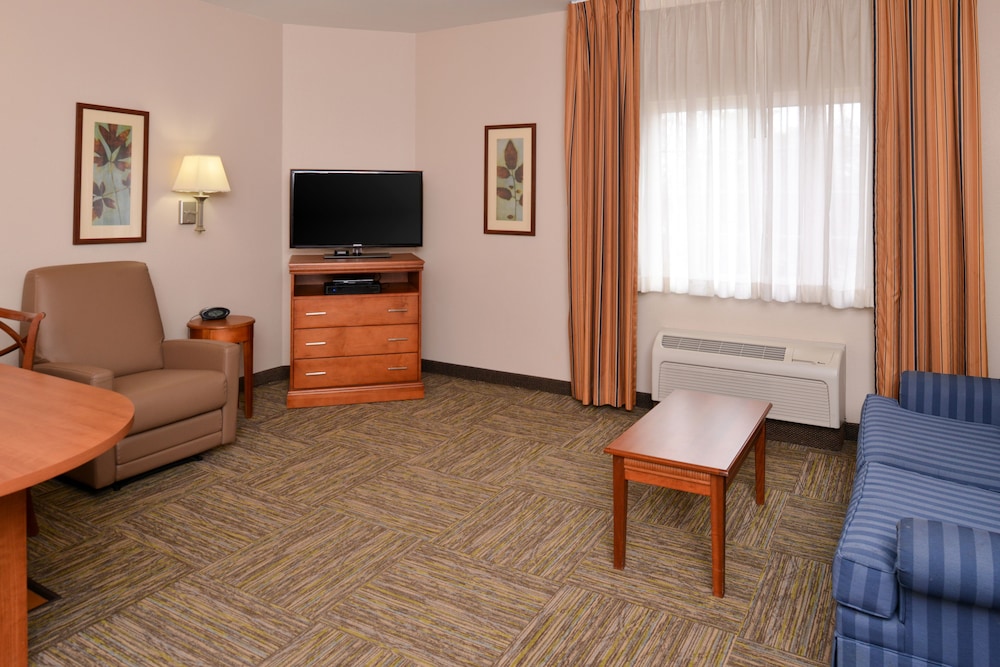 Suite, 1 Bedroom - Photo 4