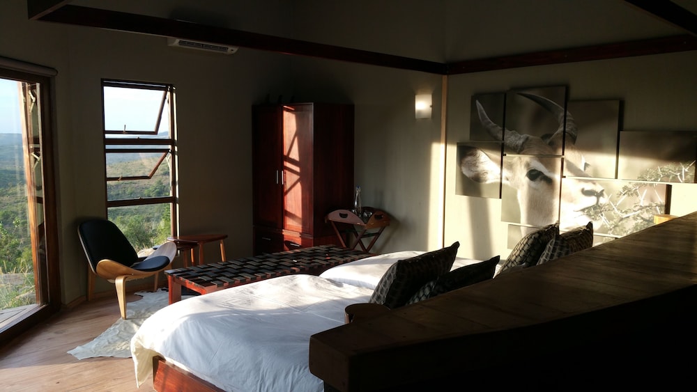 Room (Safari 5) photo 2