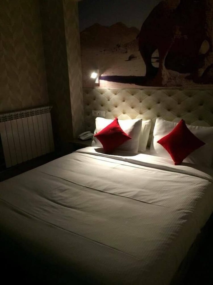 Double Room Single Use photo 3
